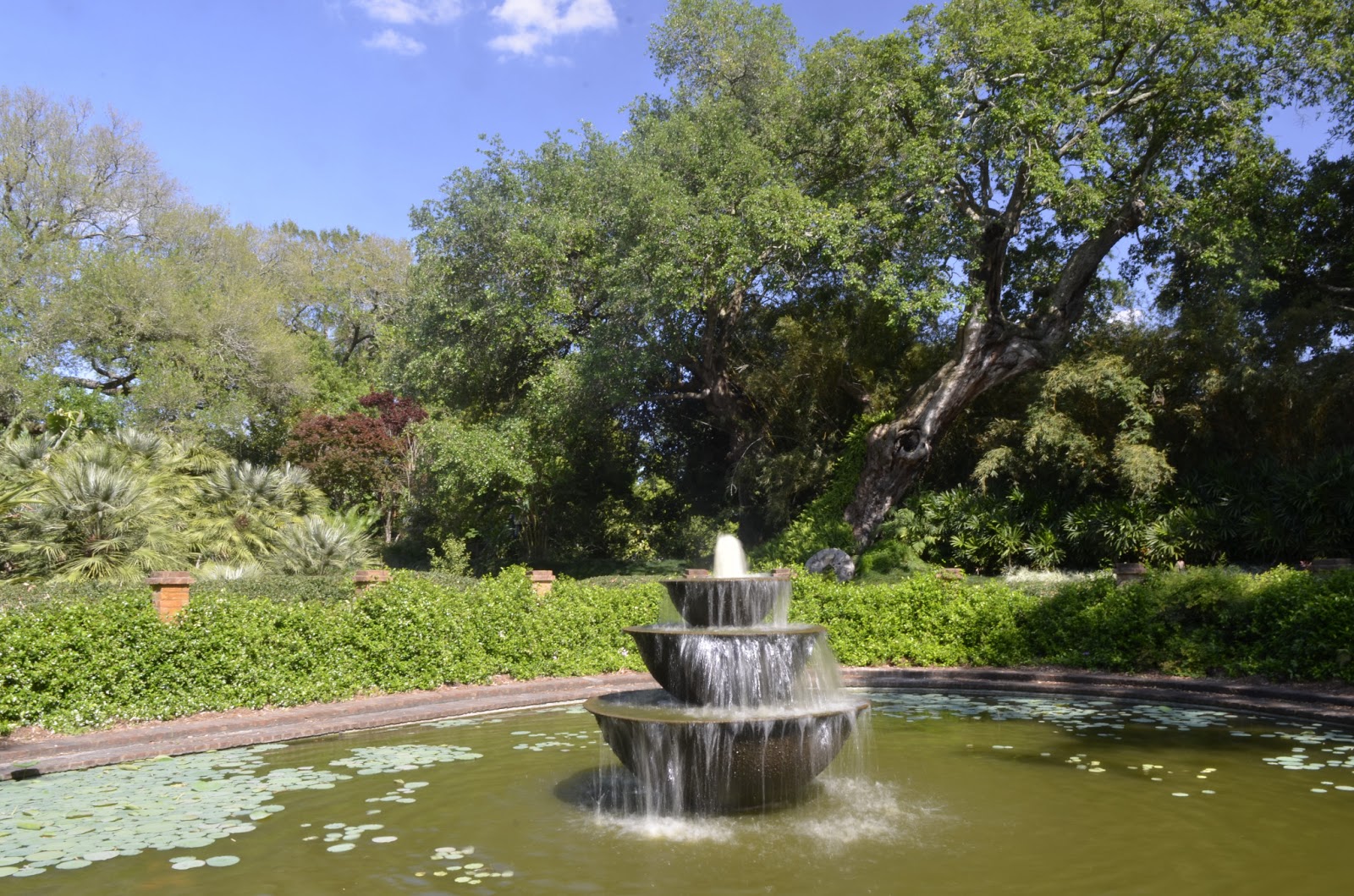 Louisiana Lagniappe Rip Van Winkle Garden