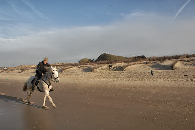 Arquitectura y diseño ecológico: Interior y exterior natural como medio