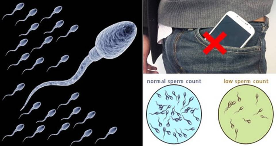 Ivf tests sperm sexual abstinence
