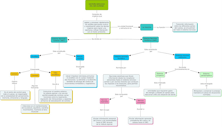 Mapa conceptual