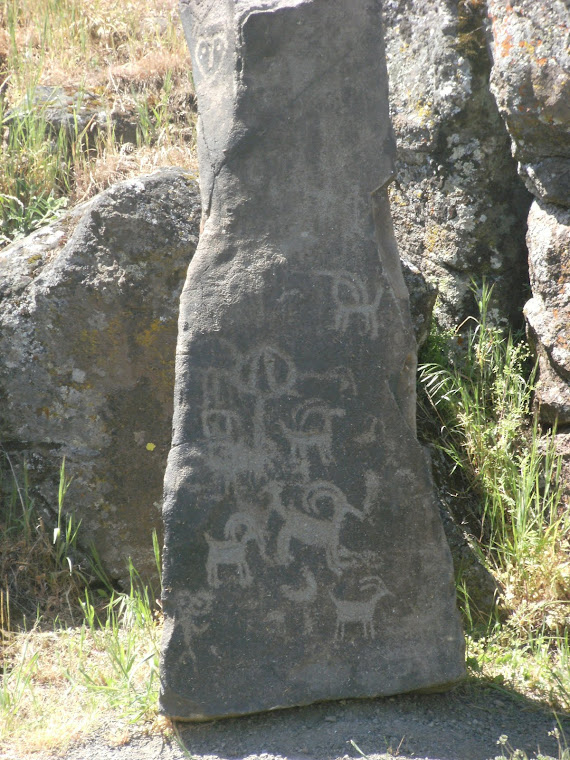 Petroglyph Research---> Prong Horn Sheep Drawings