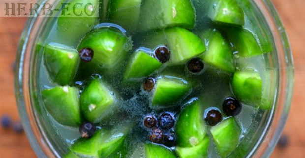 Можжевельник - польза и рецепты Формулы Можжевельника от iHerb