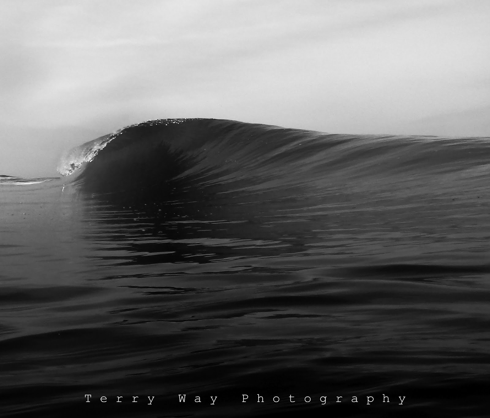 Terry Way Photography Santa Cruz Photographer Sea Dreams Water and