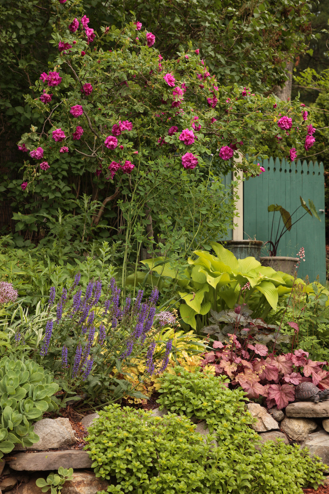 February Blooms On The Country Mouse Ridge