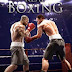 Real Boxing 2014