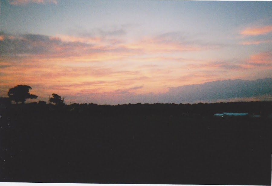 it's cohen: uk style blog, brownstock festival, essex, disposable camera, brownstock 2011