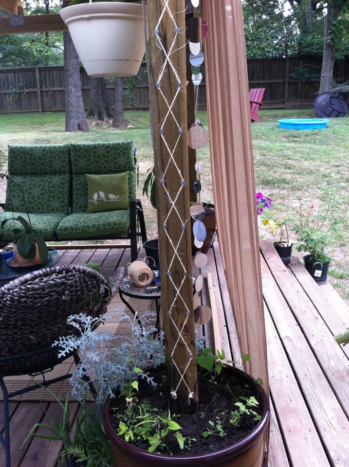 . Micro Project Twine Trellis