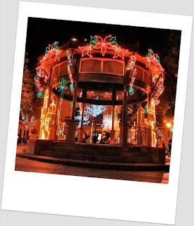 ¡Qué Pasa! Magazine: A Guide to Island Holiday Events