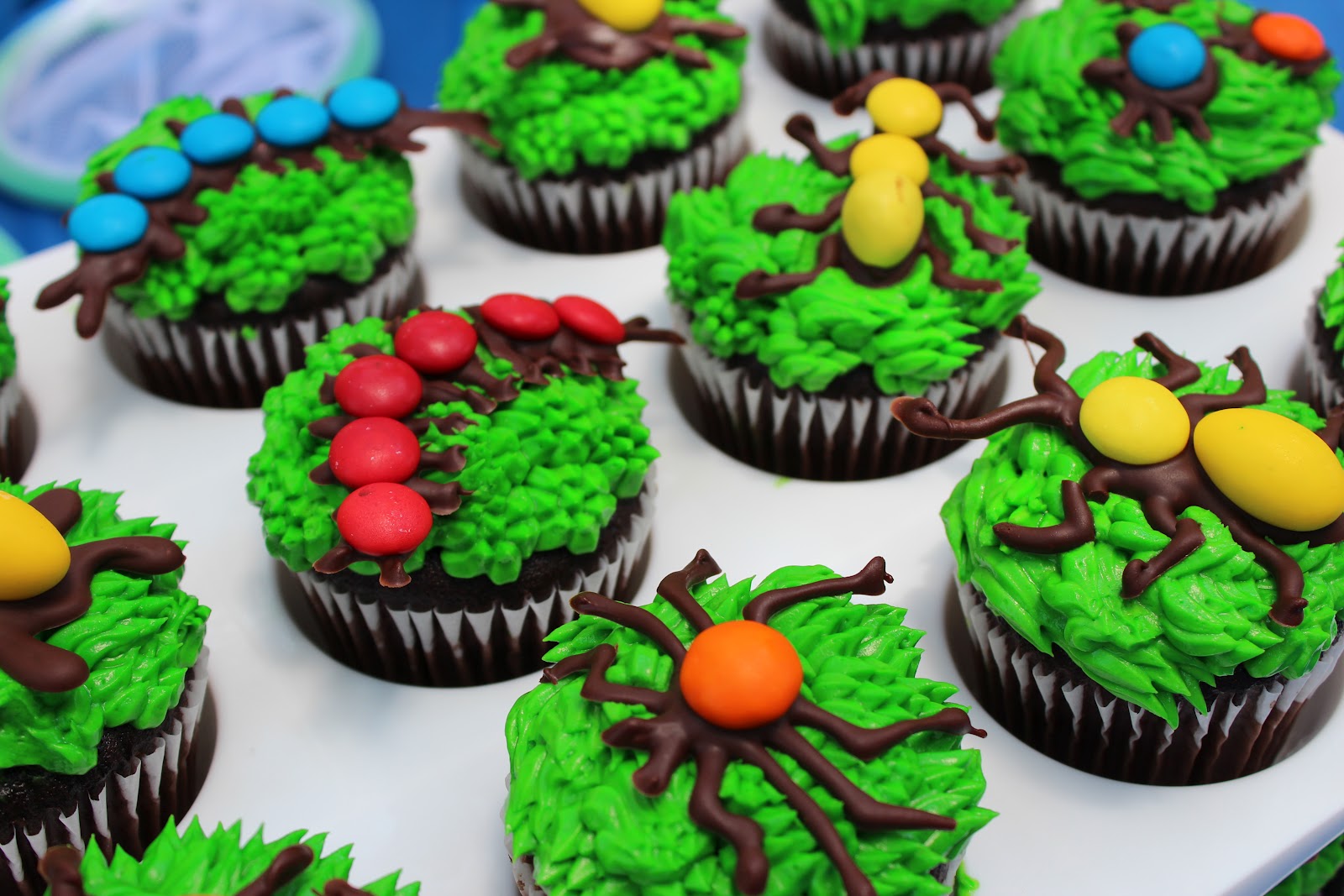 A Bug Birthday Party | Elizabeth Lauren
