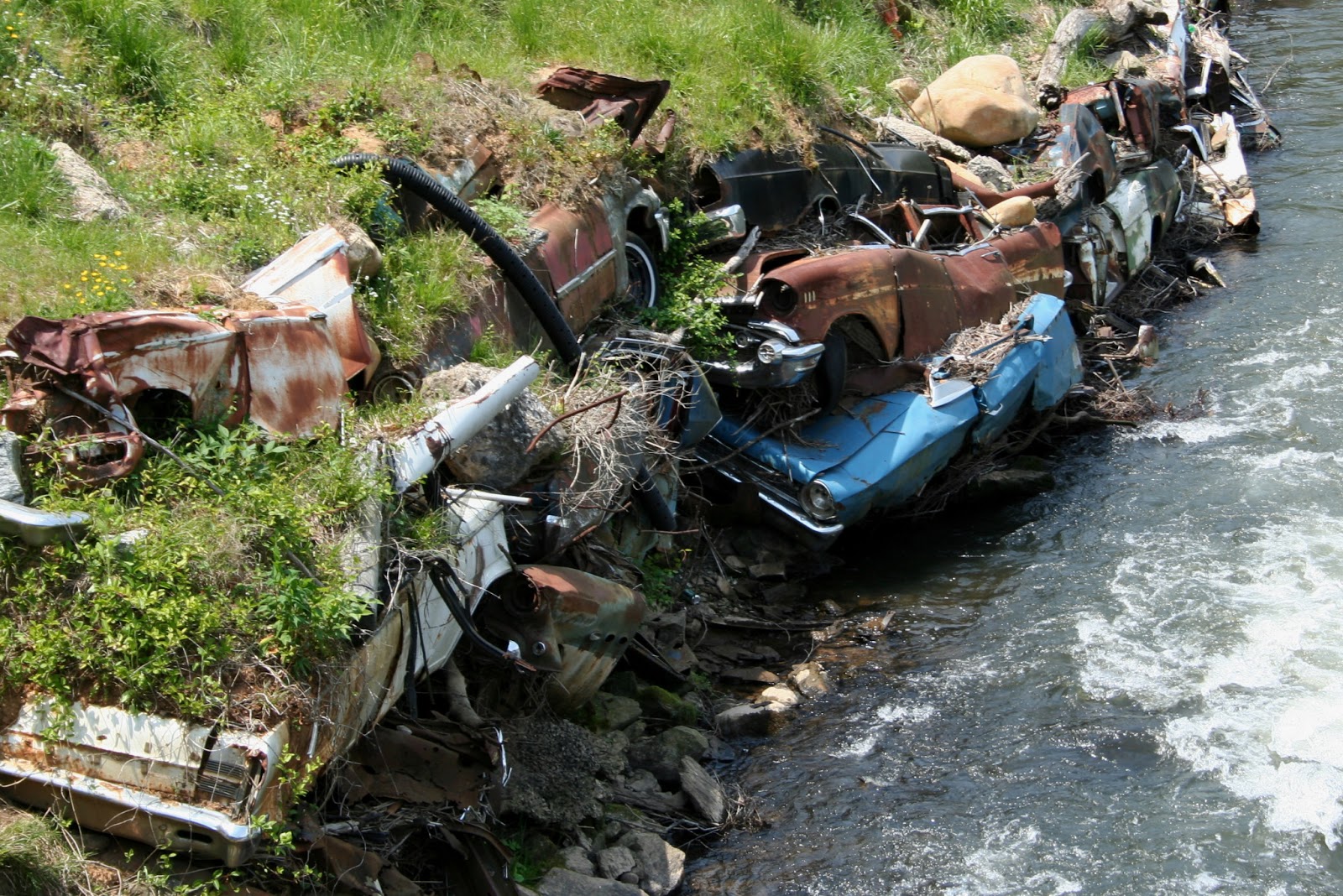 The Carpetbagger Automotive Riverbank Preservation