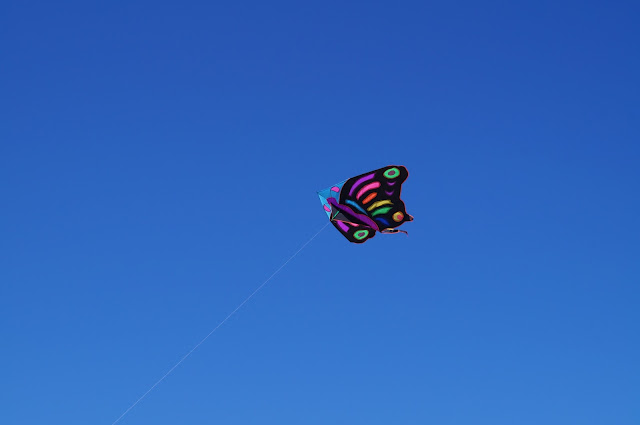 DSC03169.JPG