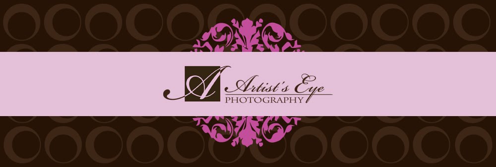 Artist's Eye Photography