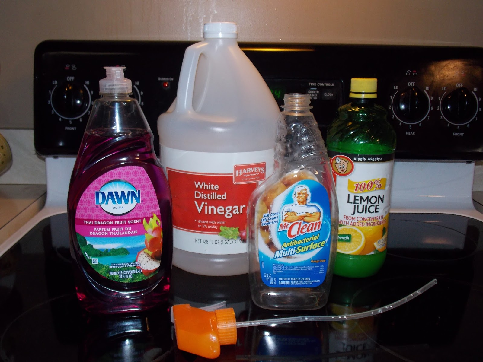 Unto the Least of These Safe Vinegar Based Cleaner!!