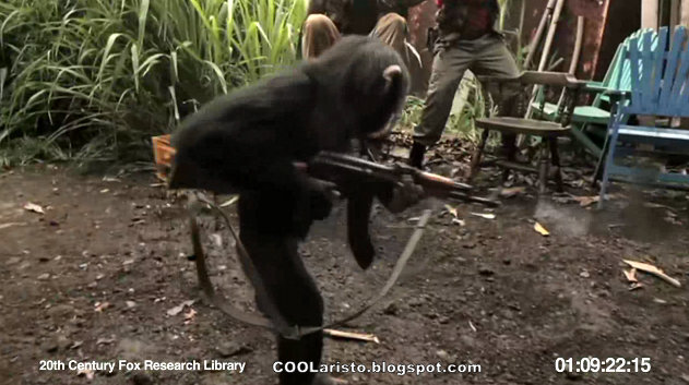 Μαϊμού με καλάζνικοφ σκορπίζει τον πανικό σε Αφρικανούς στρατιώτες! Ape+With+AK-47+coolaristo