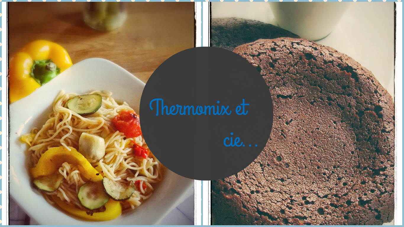 ~~ Thermomix & cie.... ~~
