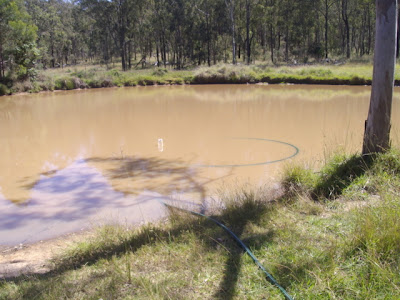 eight acres: setting up a dam pump