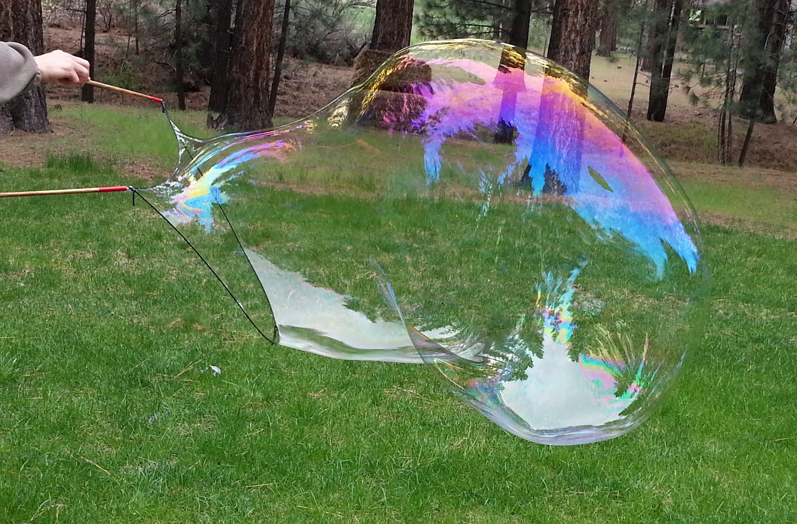 Choices for Children May 2013