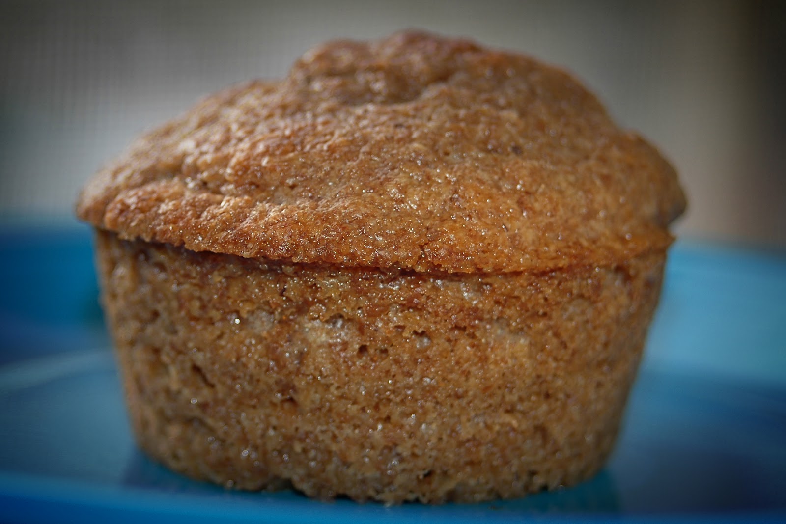 Chronicles of Applesauce Bran Muffins