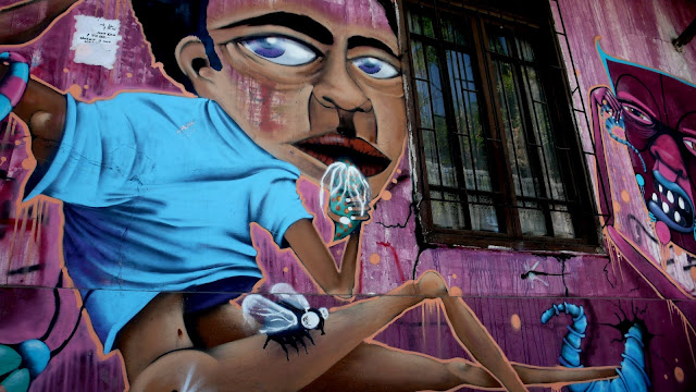 street art in santiago de chile by naira arte callejero