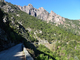 le bon coin corse rencontres