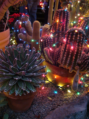 danger garden: Christmas in Spokane, WA…