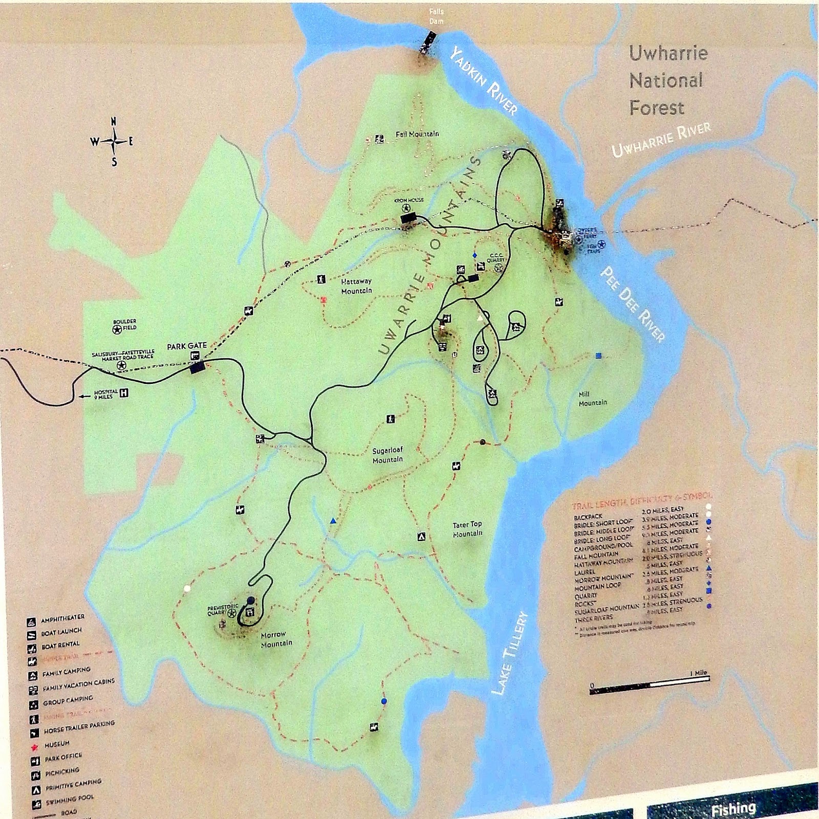 Hiking with a Fat Bald White Guy Morrow Mountain State Park Fall Mountain