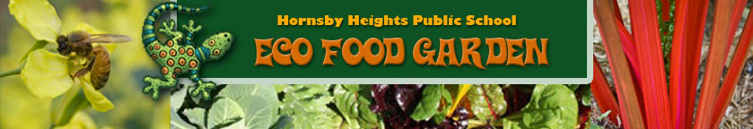 Hornsby Heights Public School Eco Food Garden
