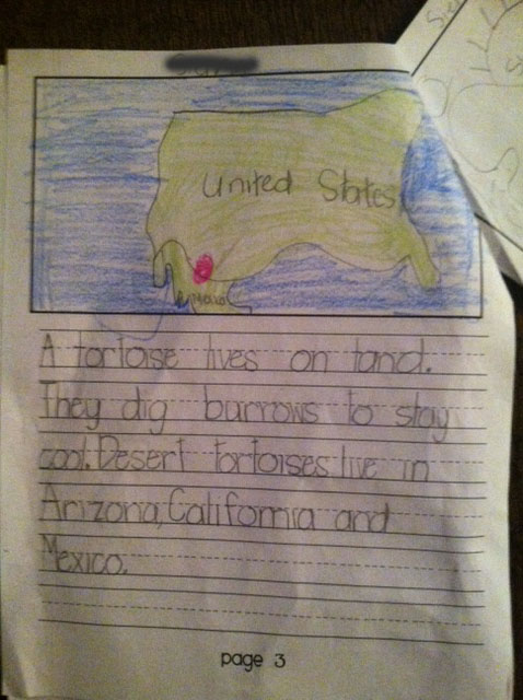 Desert animals for kids image