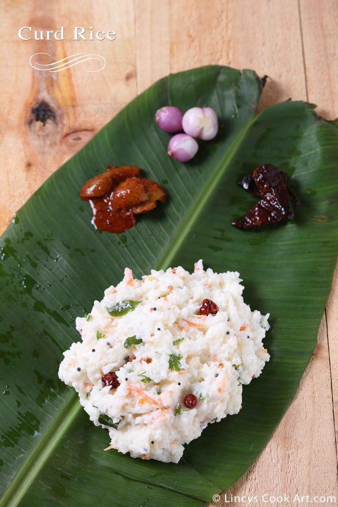 Curd Rice recipe| Thayir Sadam| Bagala Bath ~ Lincy's Cook Art