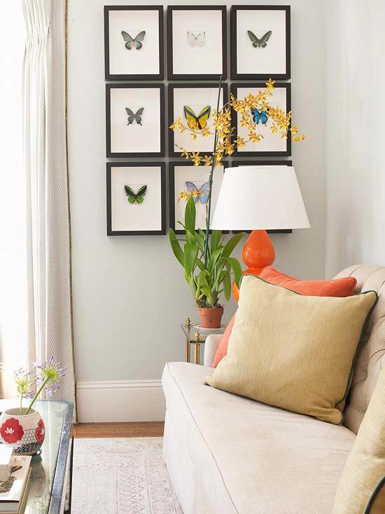 Framed Butterflies