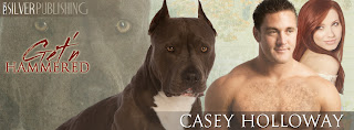 Author Guest Post: Casey Holloway