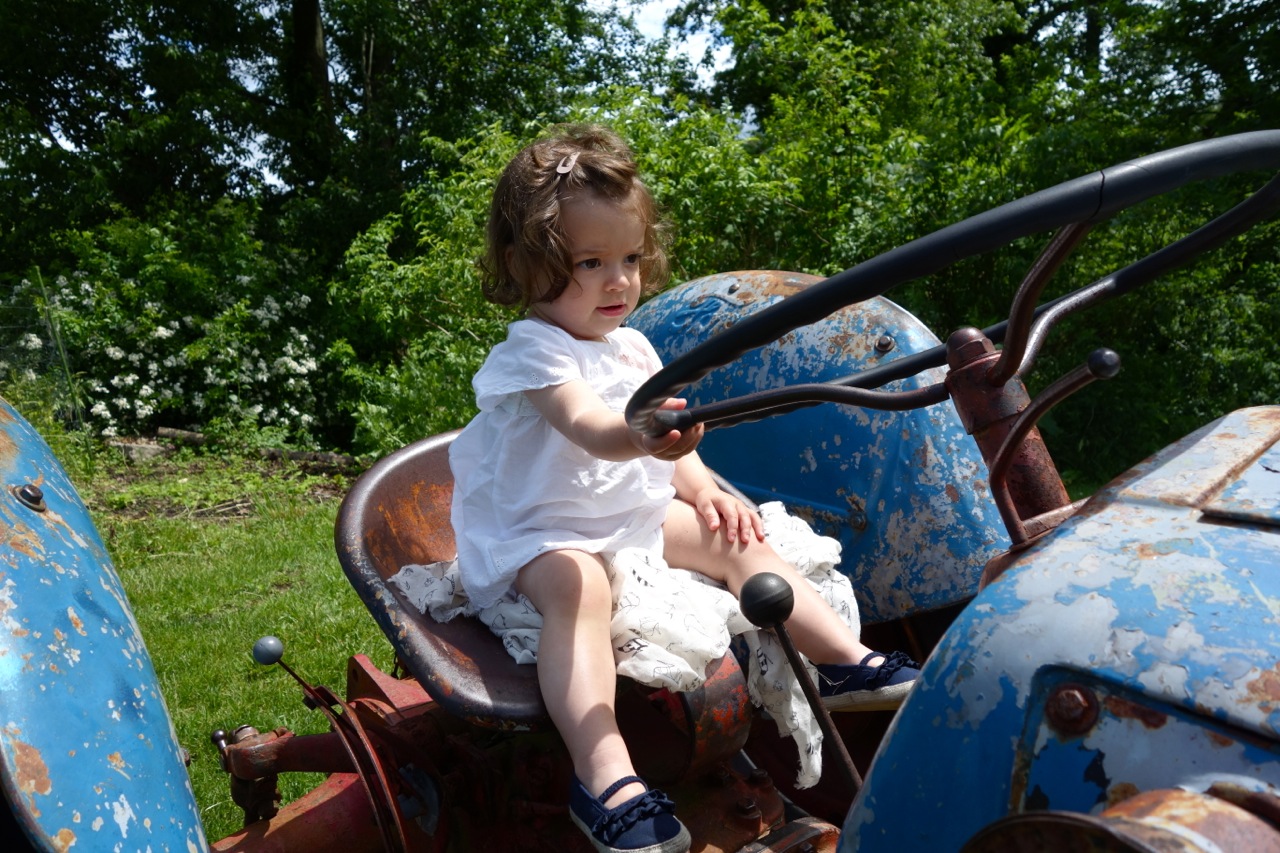 Emilie Johnson Blue Hill At Stone Barns