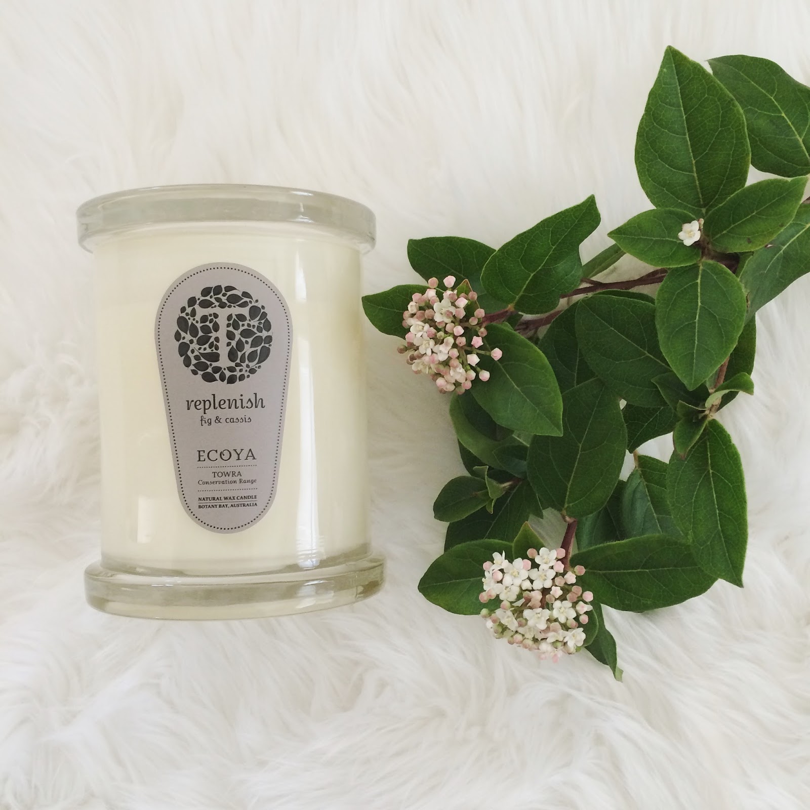 Ecoya Fig & Cassis Candle Review monique farrell