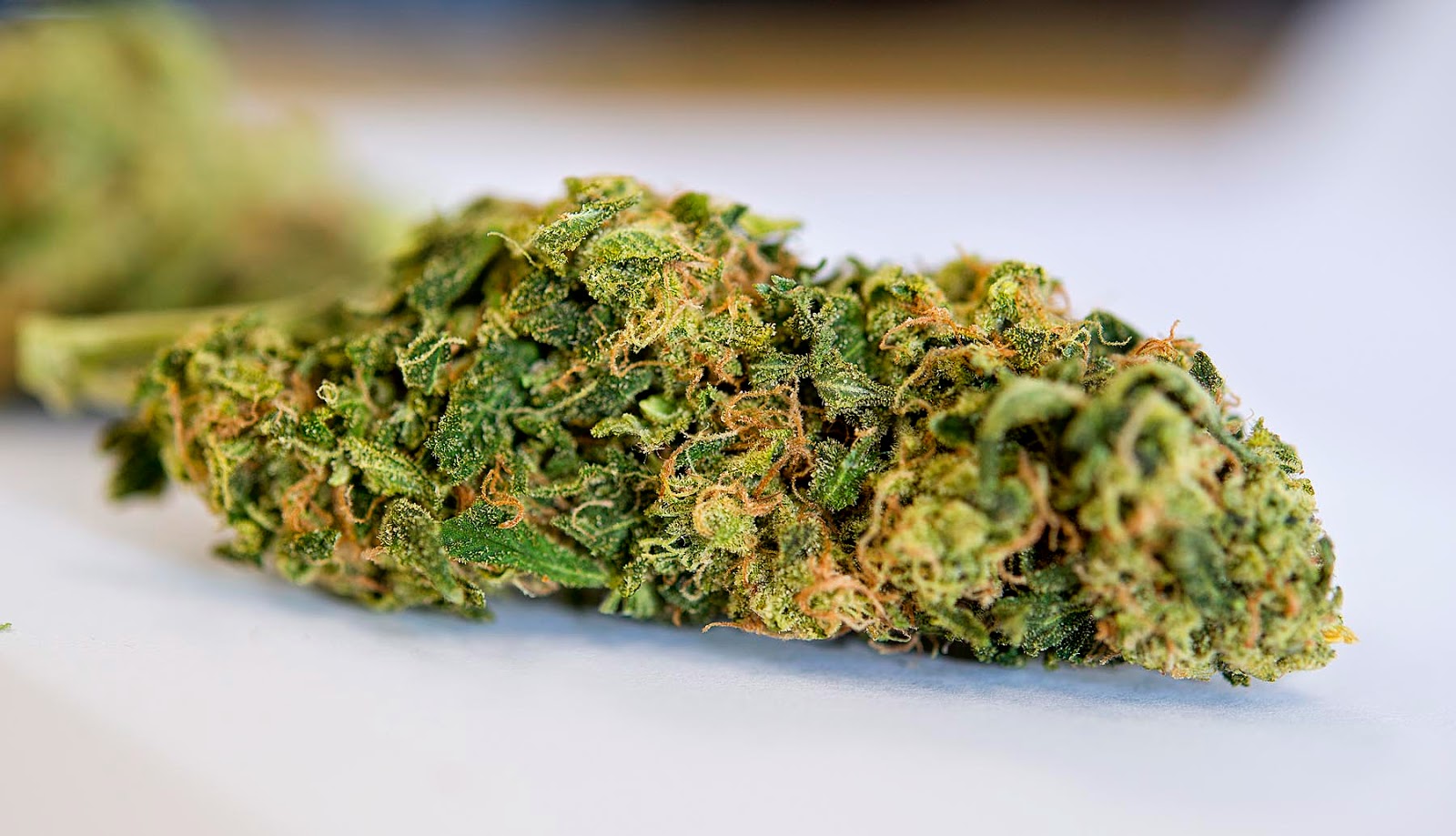 San Jose Medical Marijuana Dispensary Amsterdam's Garden