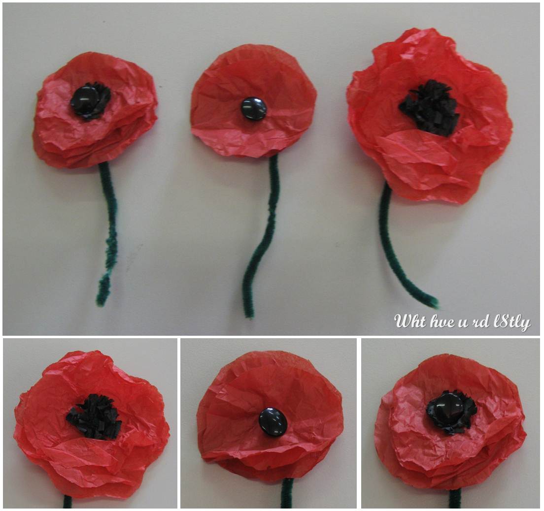 Poppies essay image