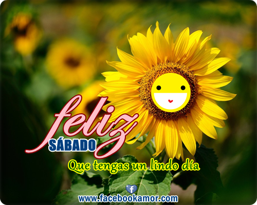 Risultati immagini per feliz sabado