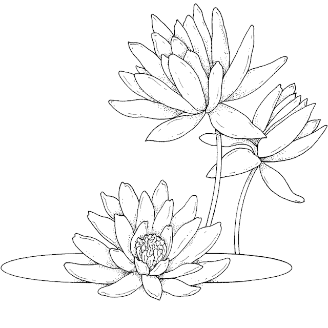 dibujos flores para imprimir - Dibujo de flores para imprimir y pintar :: Flores para dibujar 