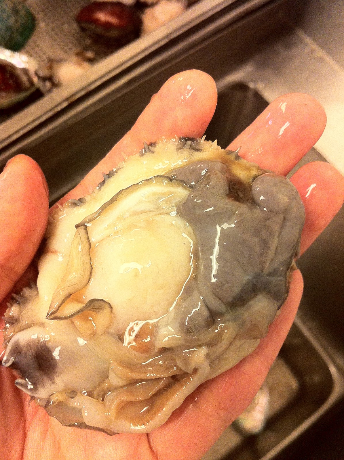 Abalone