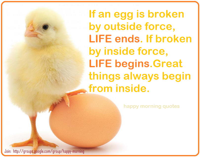 Broken Egg Quotes. QuotesGram