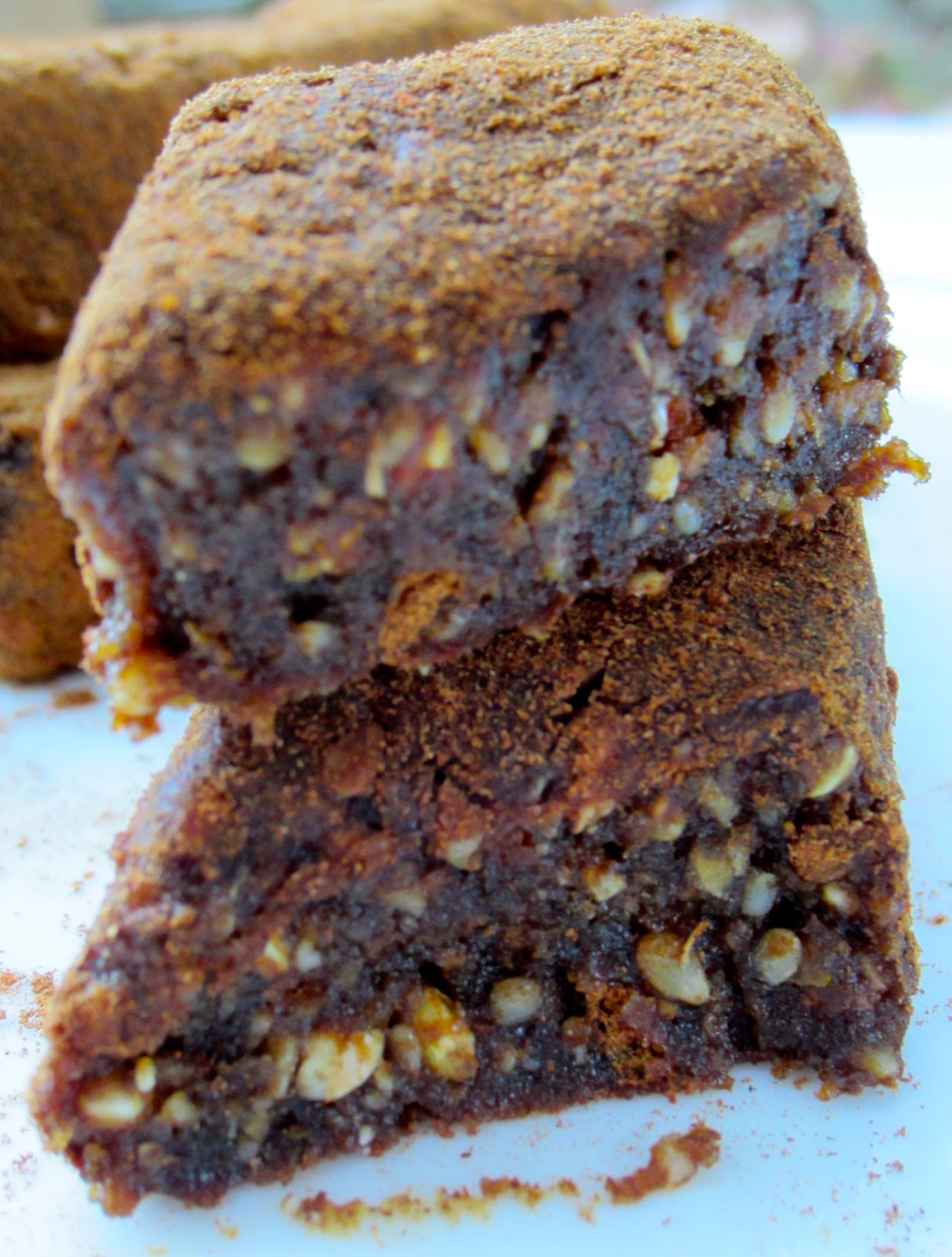 RAW Food for Truth Soft & Crunchy Carob Energy Bars