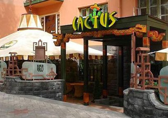 cactus restaurant cactus restaurant