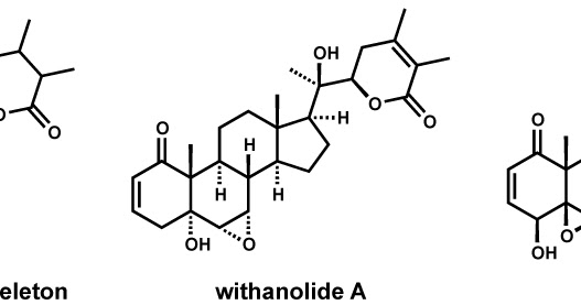 Medicinal Chemistry - UZH