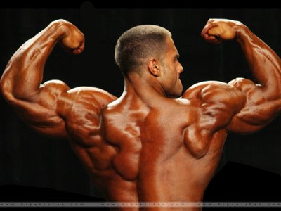 Anabolic protein vs anabolic steroids