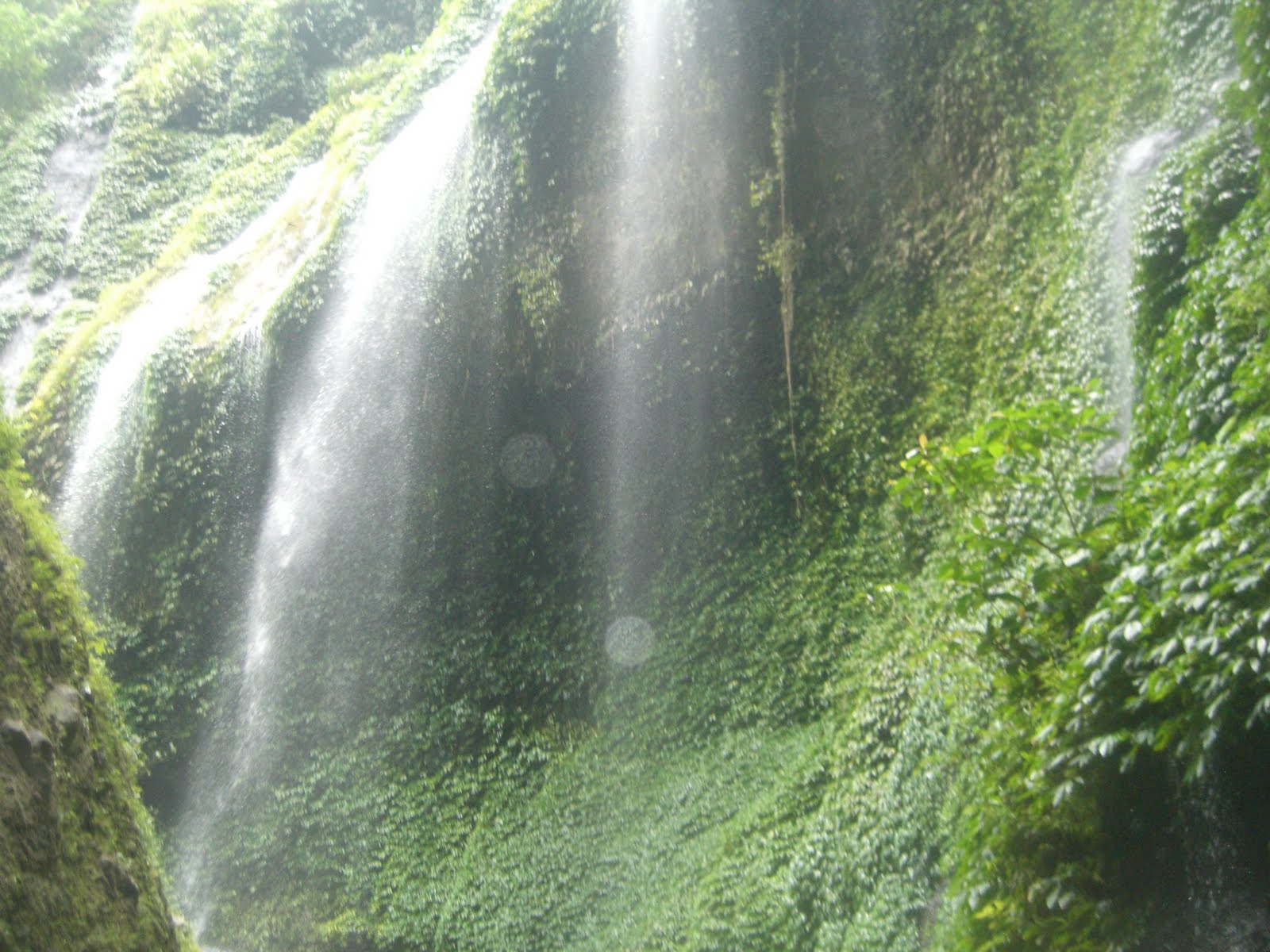 Madakaripura Waterfall
