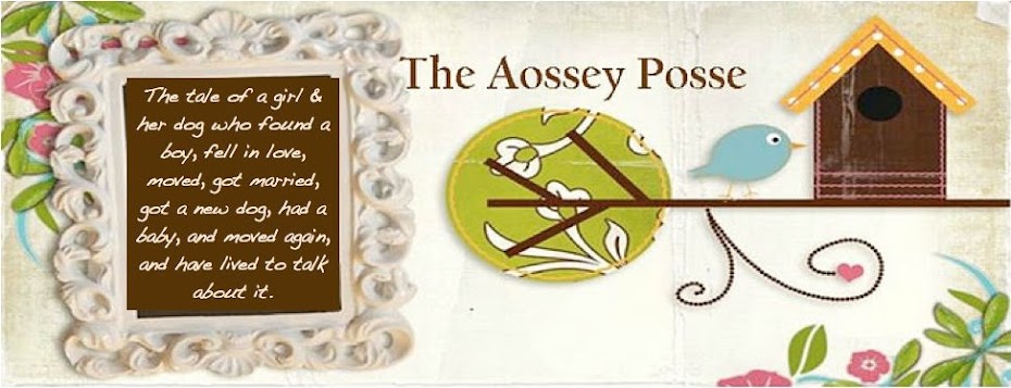 The Aossey Posse