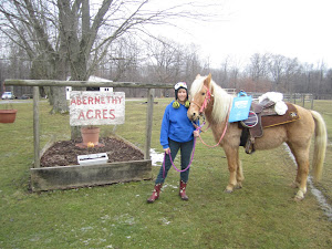 Chincoteague's Sweetheart