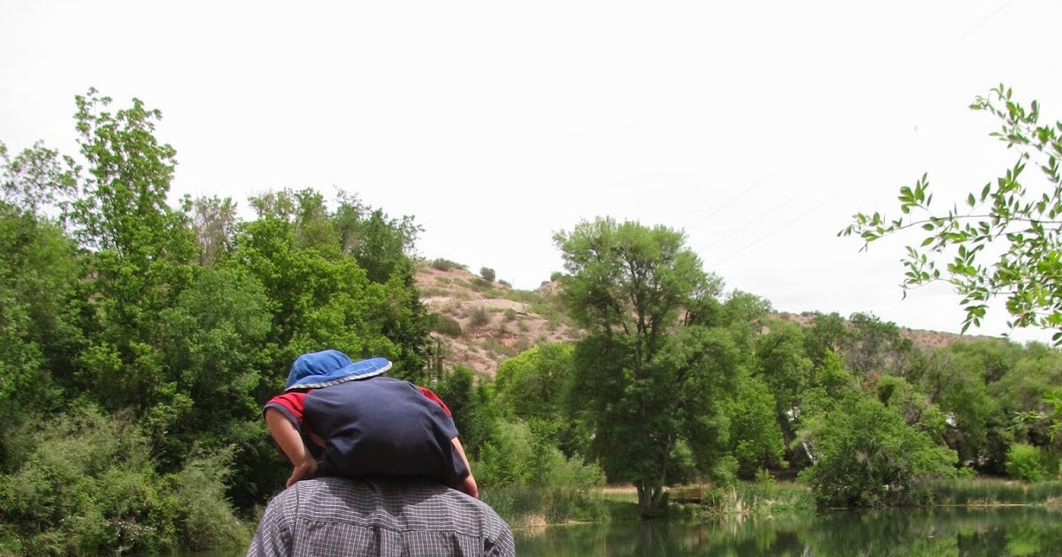 Backyard Excursions Glenwood Fish Hatchery