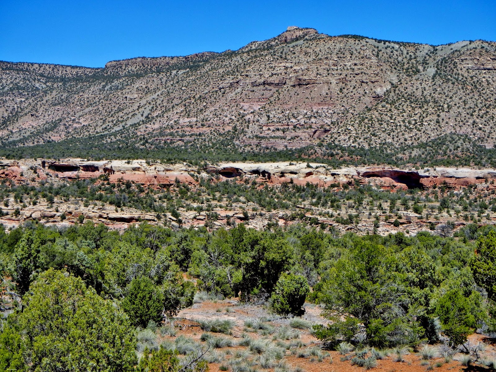 The Southwest Through Wide Brown Eyes Road G Cortez to Bluff.