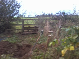 Bug hotel, rhubarb, brambles.