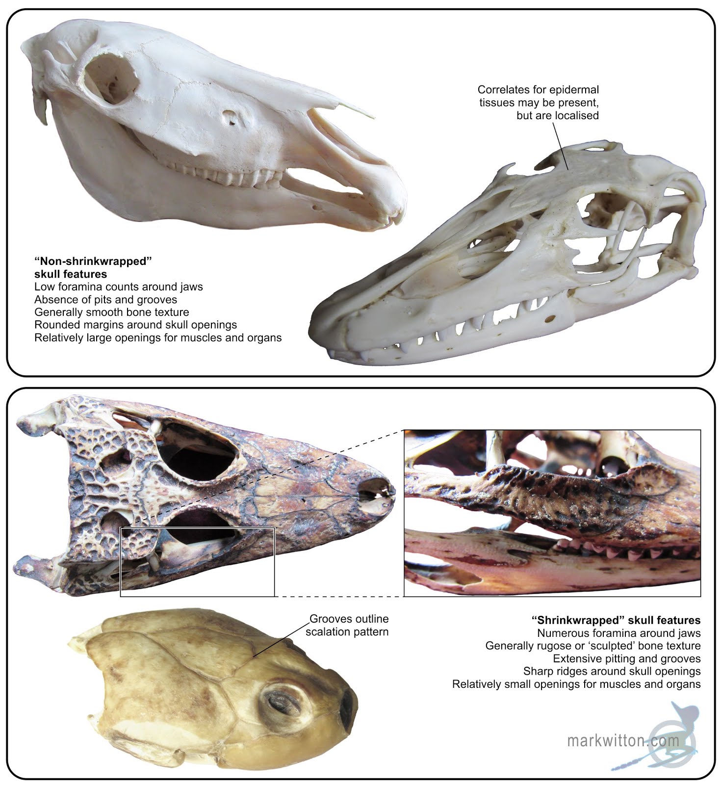 Mark Blog The convention of shrinkwrapping thoughts for